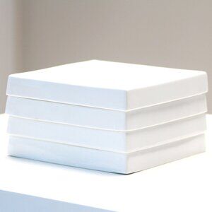 CB2 Crate & Barrel Sushi Appetizer Plates‎ Set of 4 VGUC